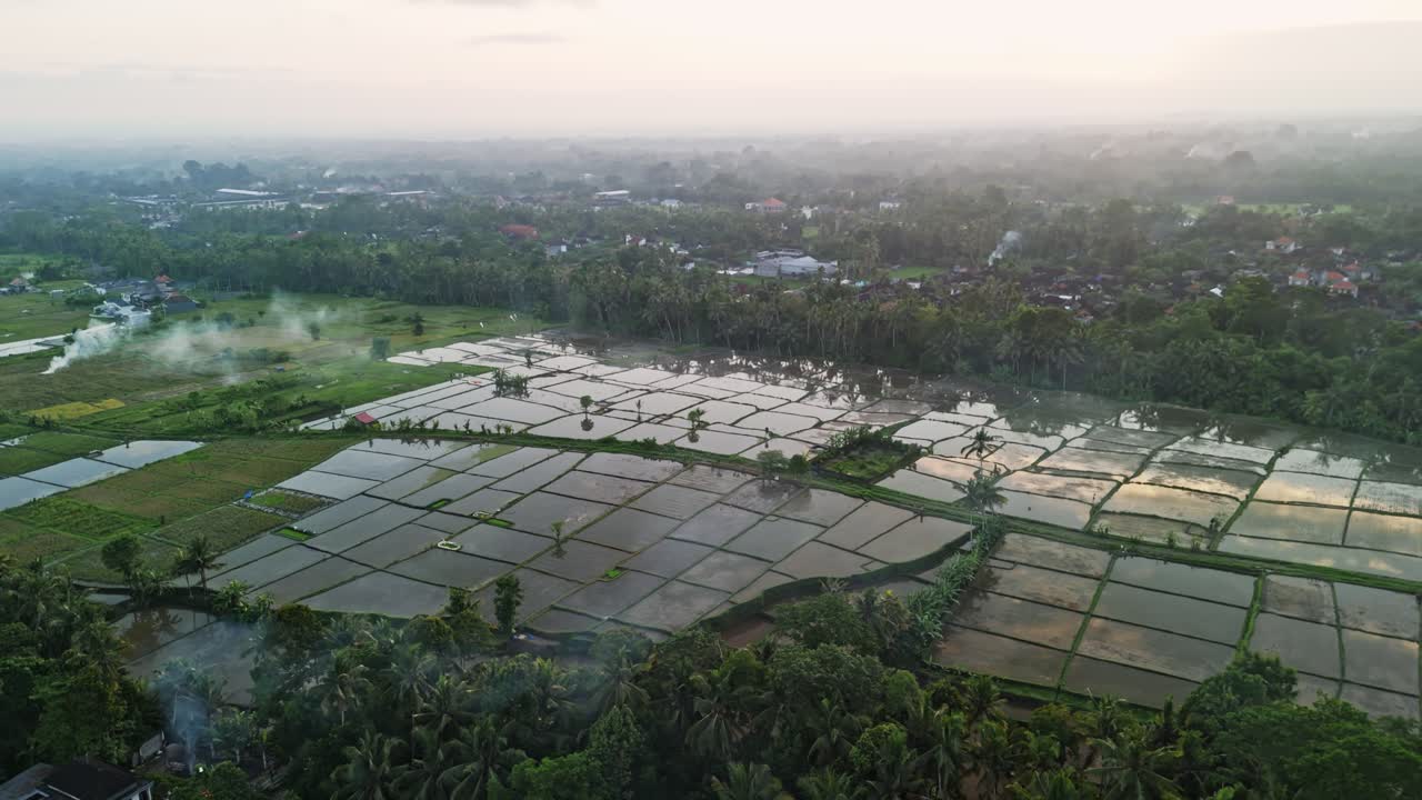 Wide-angle drone orbit over flooded rice terraces near Ubud, Bali during sunset. The aerial view captures the reflective water surfaces, palm tree borders, and surrounding tropical farmland