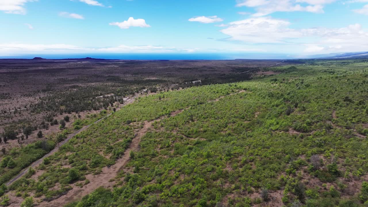 пышный зеленый пейзаж с видом на океан в отдаленном месте с потрясающим голубым небом