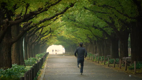 man running for exercise in a park in tokyo.