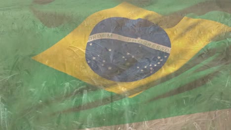 Digital-composition-of-waving-brazil-flag-against-close-up-of-crops-in-farm-field