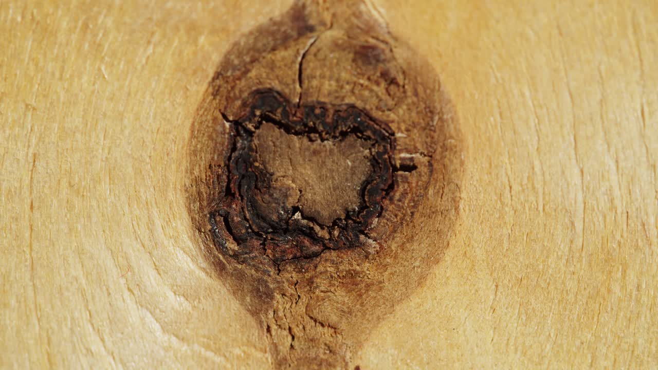 Wood Knot Texture