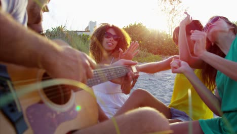 multi ethnic males and females enjoying beach party