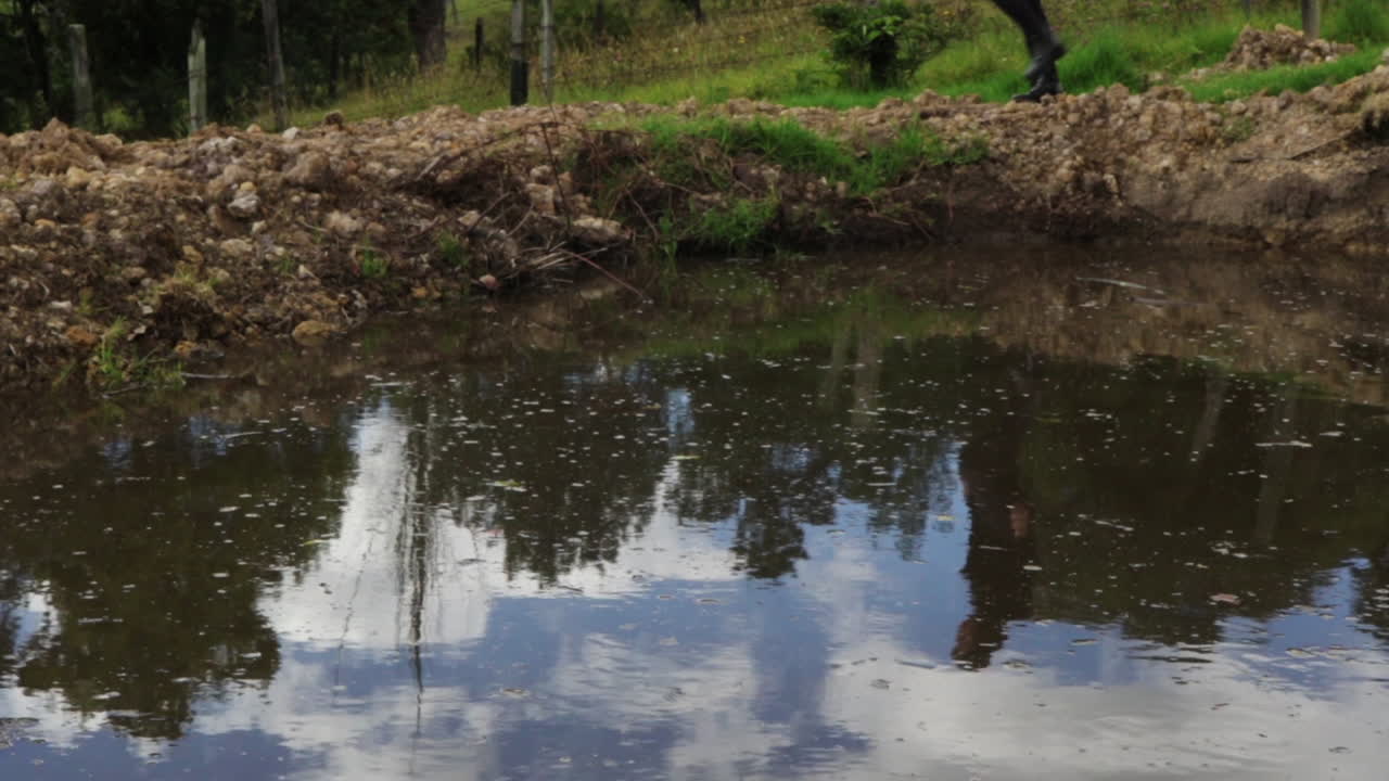 Person walking by a puddle reflecting the sky and trees