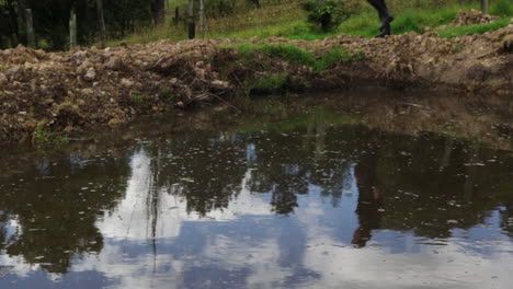 person walking by a puddle reflecting the sky and trees