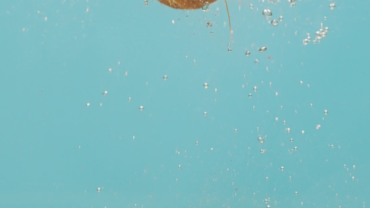 Coconuts Splashing in Water