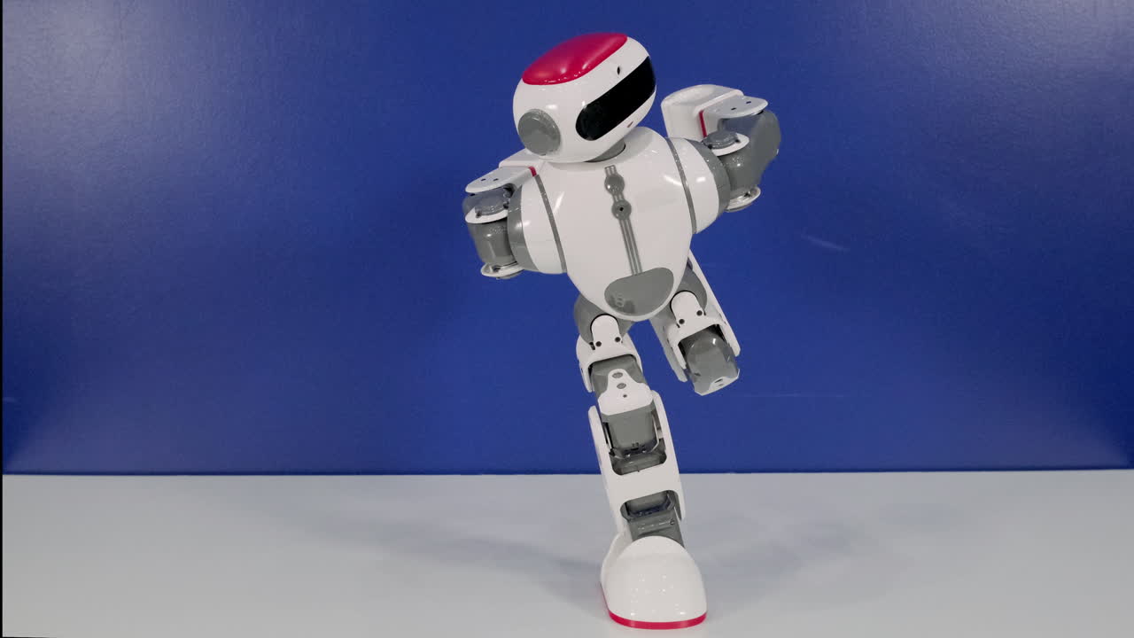 Dancing Robot Toy