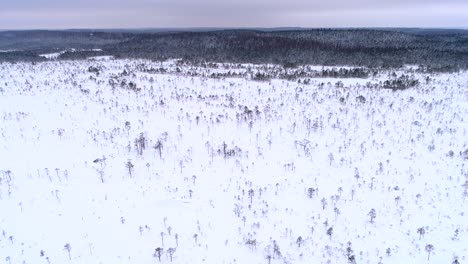 Aerial view of nordic landscapes covered with snow in Estonia.