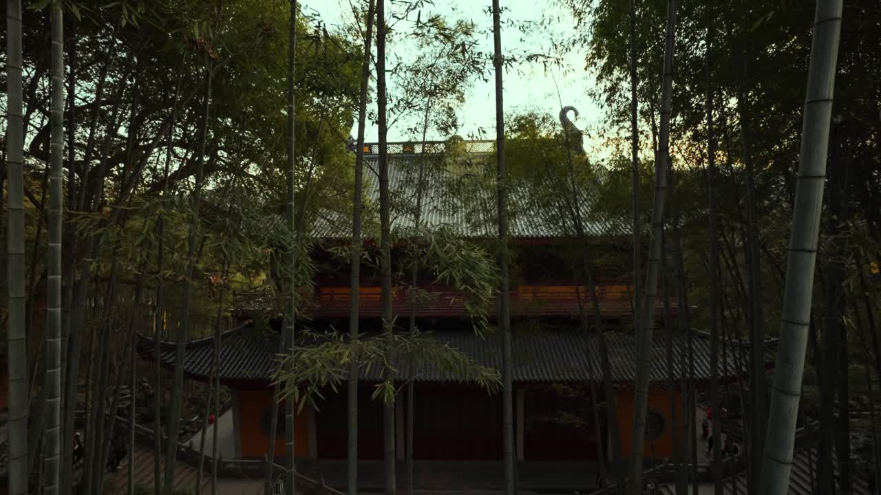 Traditional Chinese Temple Through Bamboo