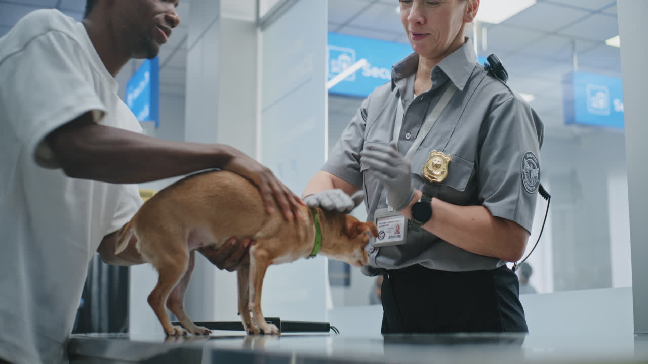 Airport Dog Screening