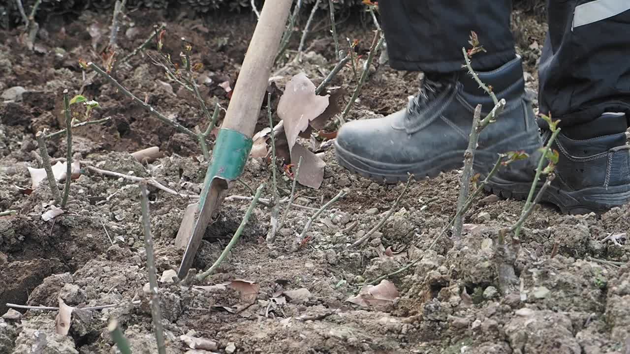 Gardening with a shovel and boots