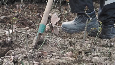 gardening with a shovel and boots