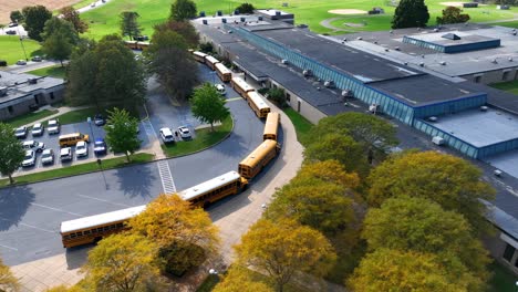 yellow trees and buses at american school during autumn