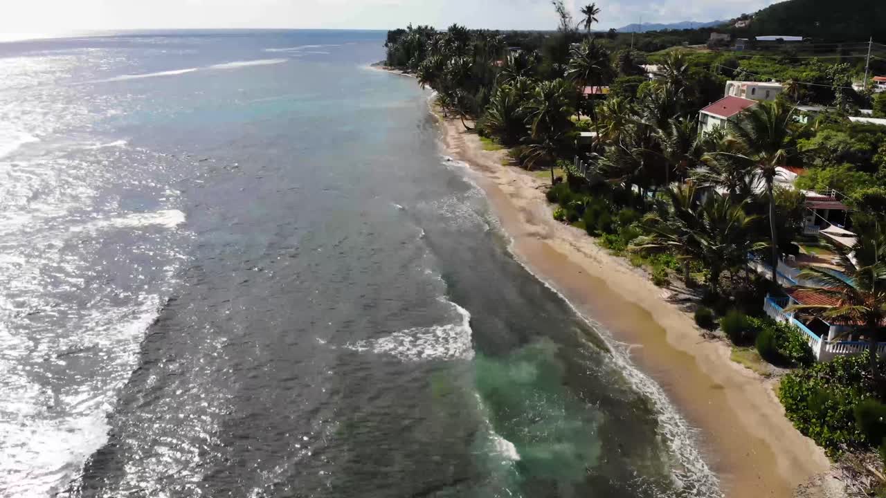 Aerial View of a Tropical Coastline with Palm Trees and Ocean Waves