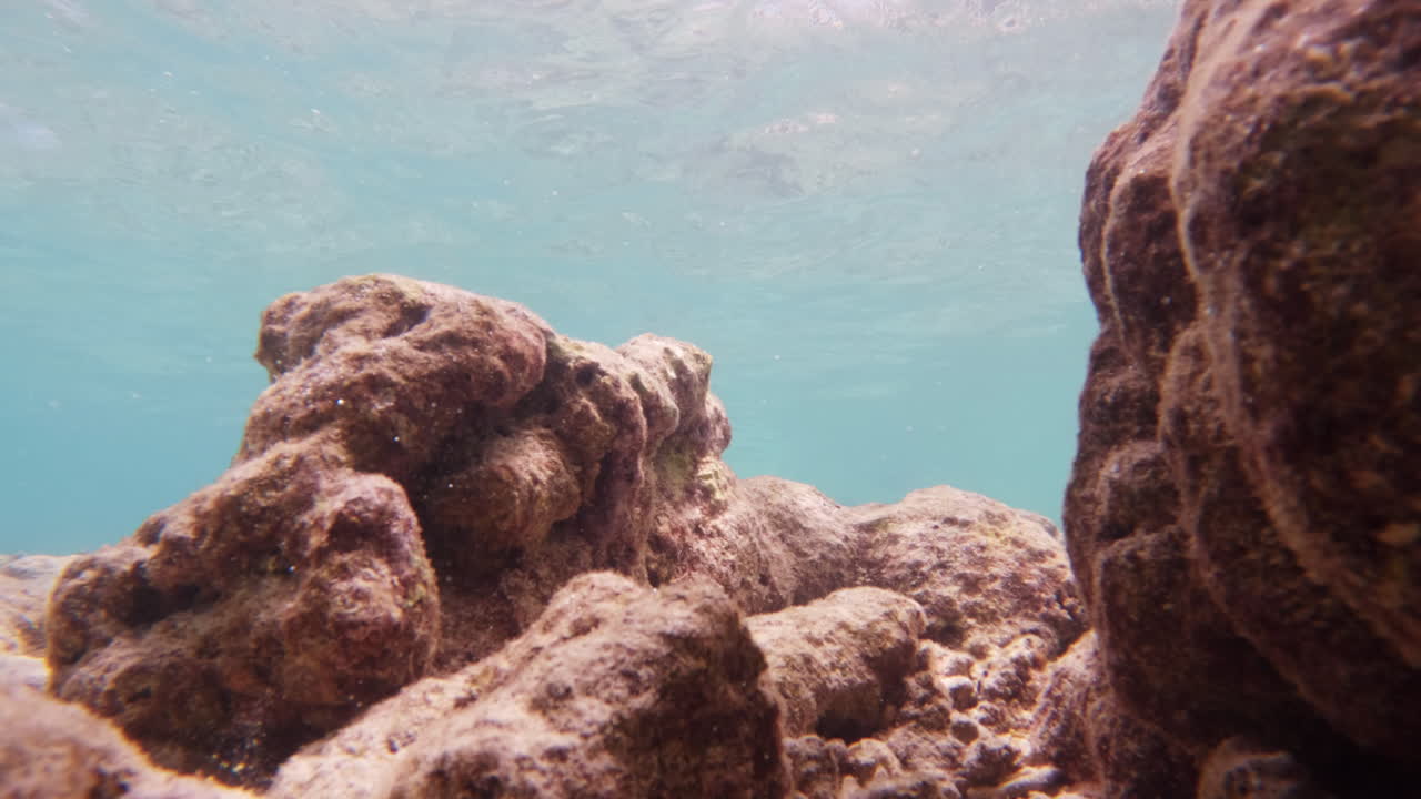 4k, 120fps에서 산호초의 영화적인 수중 촬영, 밝고  ⁇ 은 날에  ⁇ 은 물에서 슬로모