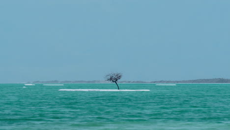 Timelapse-of-Dead-Sea-scene-with-bare-tree-on-salty-isle