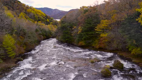 bright and vibrant autumn colors next to wide cascading river on cloudy day