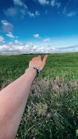 reaching for the sky in a green field