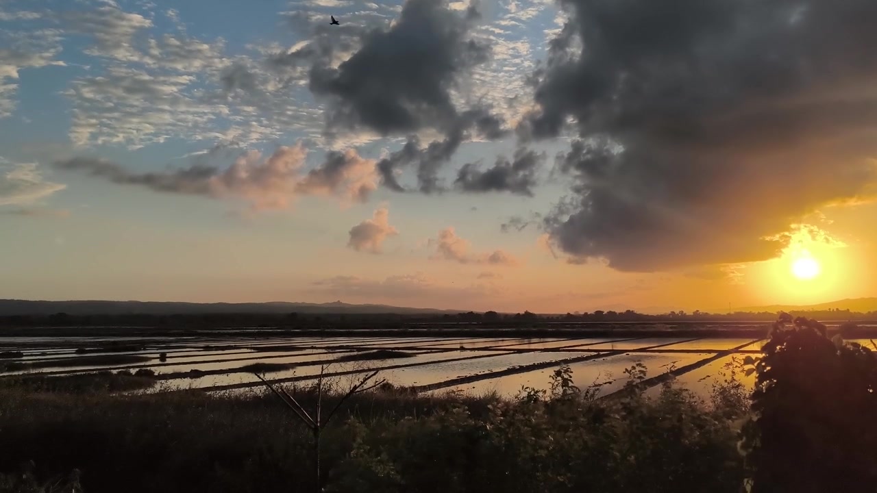 Golden Sunset Over Flooded Rice Fields in Rural Landscape
