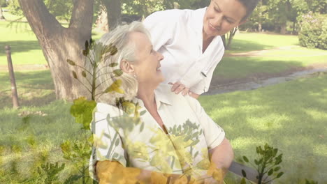 animation of plants over caucasian nurse with patient in wheelchair