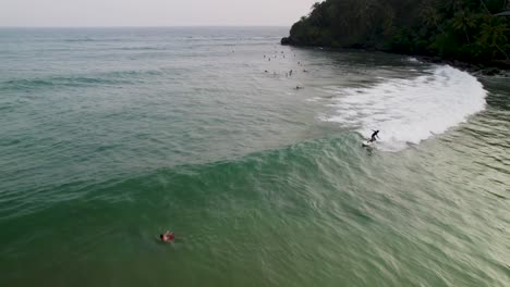 Surfistas-Atrapando-Olas-En-La-Exuberante-Costa-De-Sri-Lanka-Al-Atardecer,-Vista-Aérea