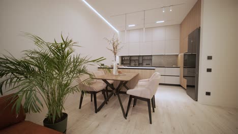 modern open-plan apartment kitchen and living area