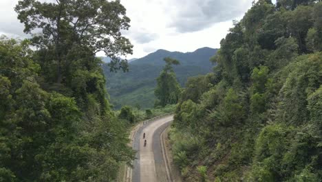 drone moves back reveal road in jungle with motorbikes ride