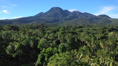 flight above tropical rainforest on camiguin island, forward aerial