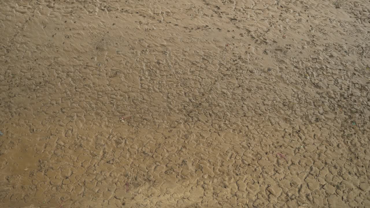 건조한 강바닥, 여름 더운 날씨에 습한 토양 잔재