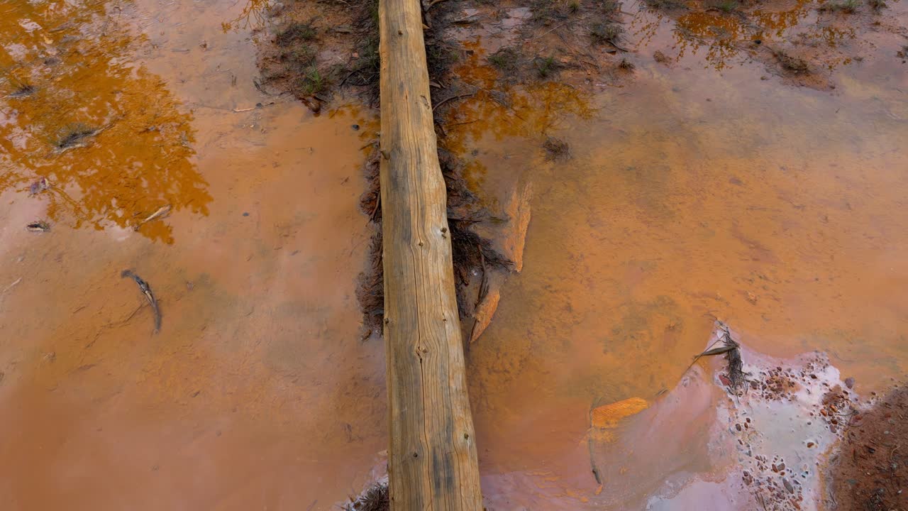 Okkerfarvede mineralbassiner, der viser abstrakte mønstre og væltede træstammer i Kootenay Nationalpark.