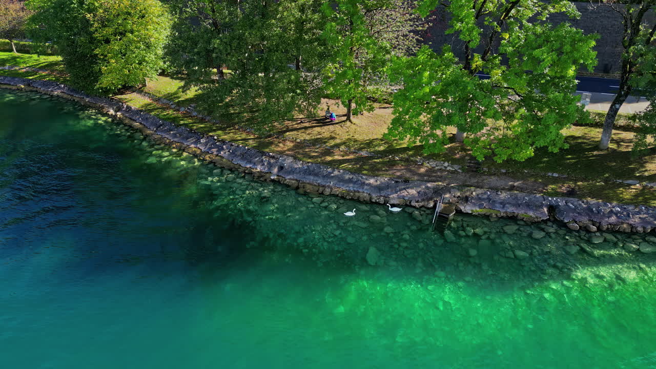 오스트리아 의 아터시 호수 에 있는 백조 들 - 공중 에서 볼 수 있는 모습