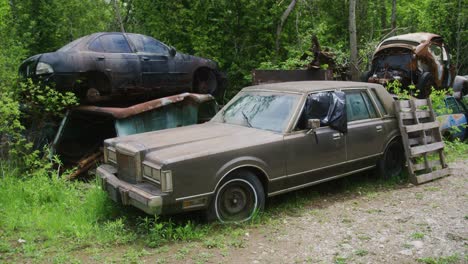 l'auto della città di lincoln degli anni '80 seduta accanto a un mucchio di altre auto arrugginite nella foresta.