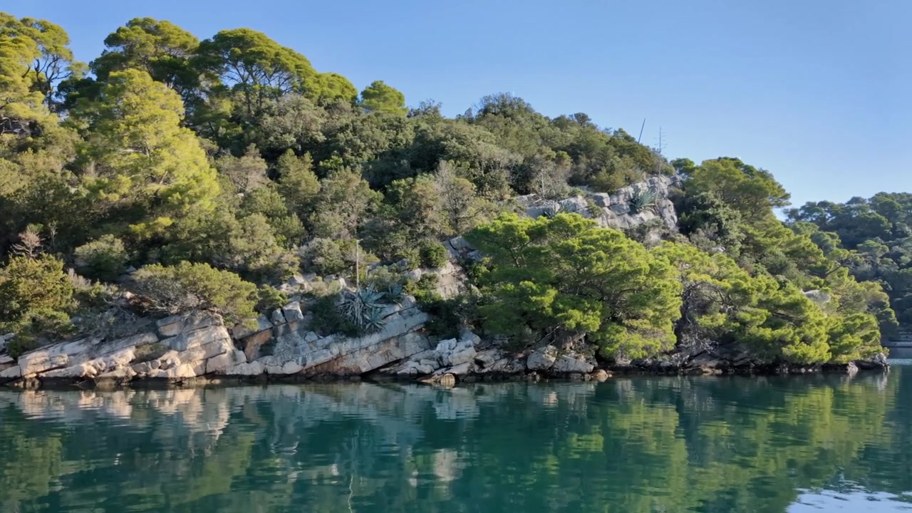 Isola collinare con fitta foresta verde in riva al mare, ecosistema e vegetazione, parco nazionale, Mediterraneo