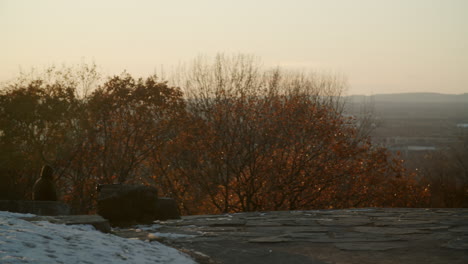 view from the mount-royal at sunset close to the university of montreal, in montreal, quebec, canada