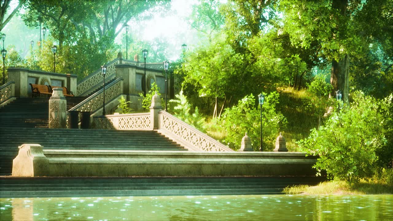 ⁇ 빛 속 의 울창 한 초록색 숲 공원 으로 둘러싸인 평화로운 연못