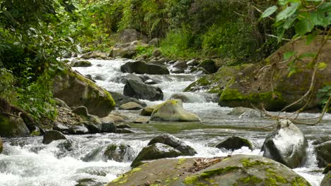 beautiful waterfall running through the jungle woods of costa rica