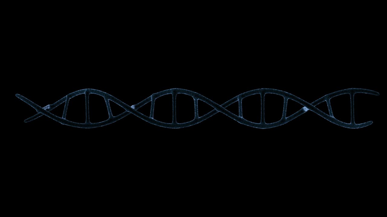Structure DNA Molecules rotate helix animation with loop