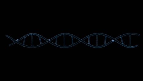 estructura de las moléculas de adn rotan animación de hélice con bucle