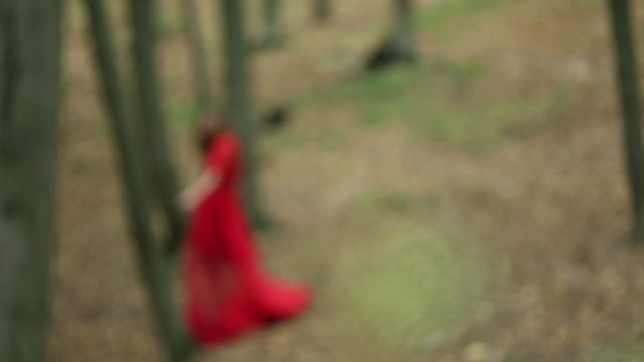 Beautiful Girl Walking In Forest. Beautiful girl in red long dress walking in forest