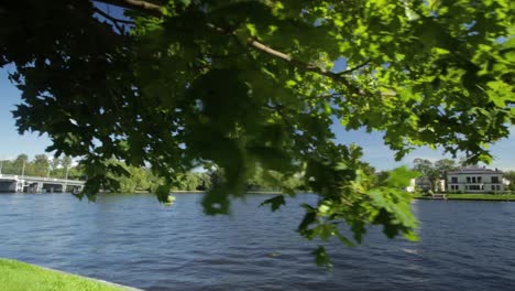 river view with bridge and trees