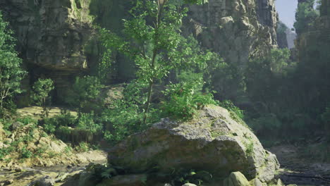 Rocky landscape features lush green vegetation under bright sunlight