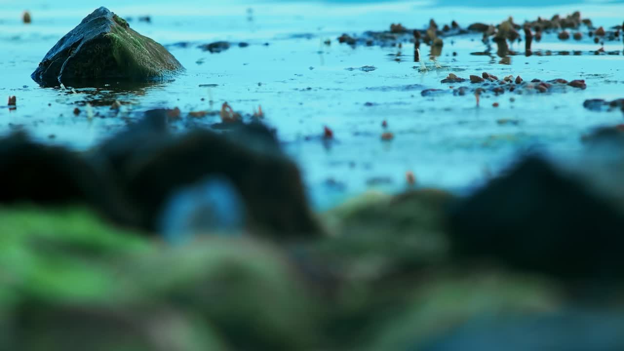 일몰 이른 아침에 바다 물결