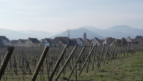 Viñedo-En-Las-Afueras-Del-Pueblo-Francés-De-Kaysersberg,-Cerca-De-La-Frontera-Alemana,-Fondo-De-Paisaje-Montañoso.