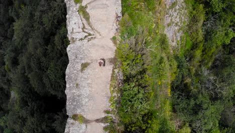 aerial: zenital shot of a man with a suitcase walking on a clif