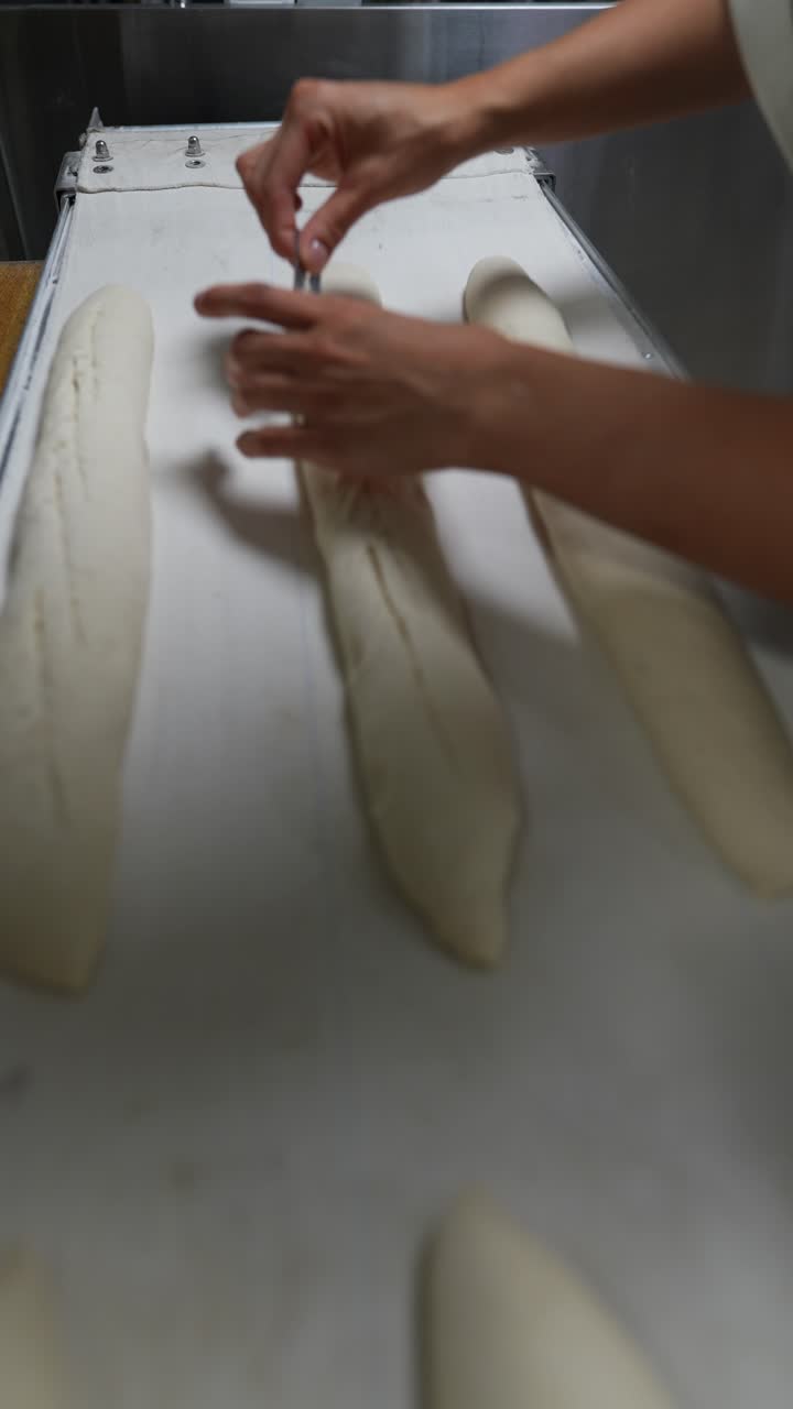 Baguette Production on Conveyor Belt