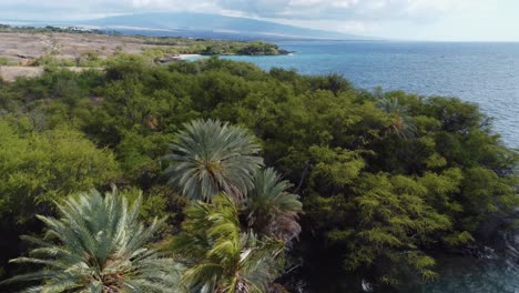 un dron con zoom cinematográfico de 4k disparó sobre árboles en la costa cerca de kona en la isla grande de hawaii