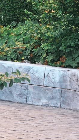 niño que se divierte jugando en el patio de recreo de los niños