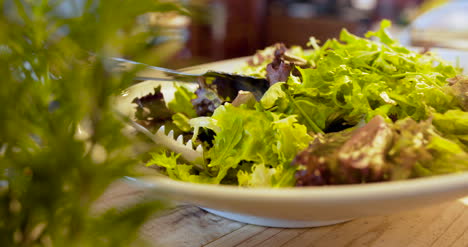 comida italiana varias ensaladas y verduras frescas en el plato 1