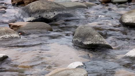 El-Agua-Del-Río-Corre-Sobre-Las-Rocas-Y-Regresa-Al-Océano-Cercano