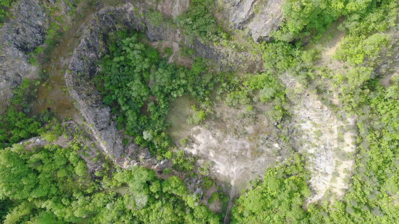 Drone top view of a stony pit covered with lush green trees