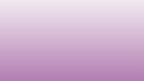 animación de texto natural y tacones altos sobre fondo rosa